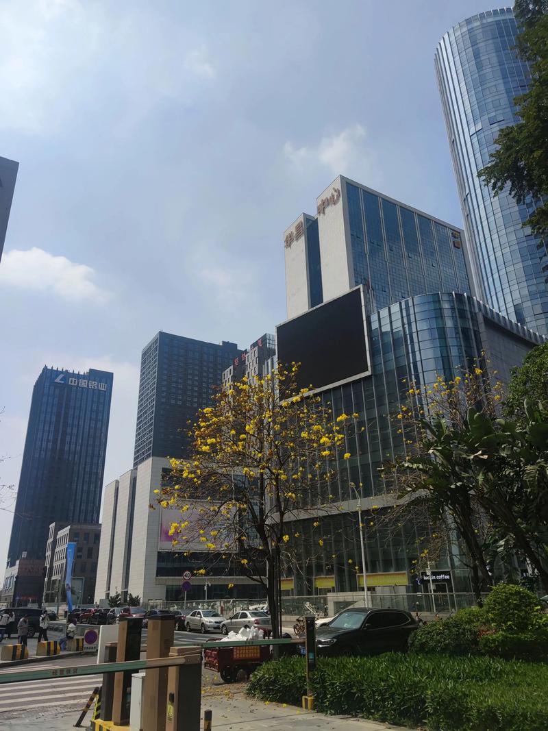 避开上海楼盘投资的常见误区